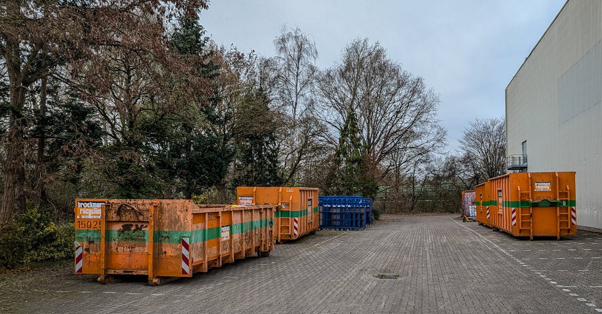 A Guide to Eco-Friendly Waste Disposal with Skip Bins