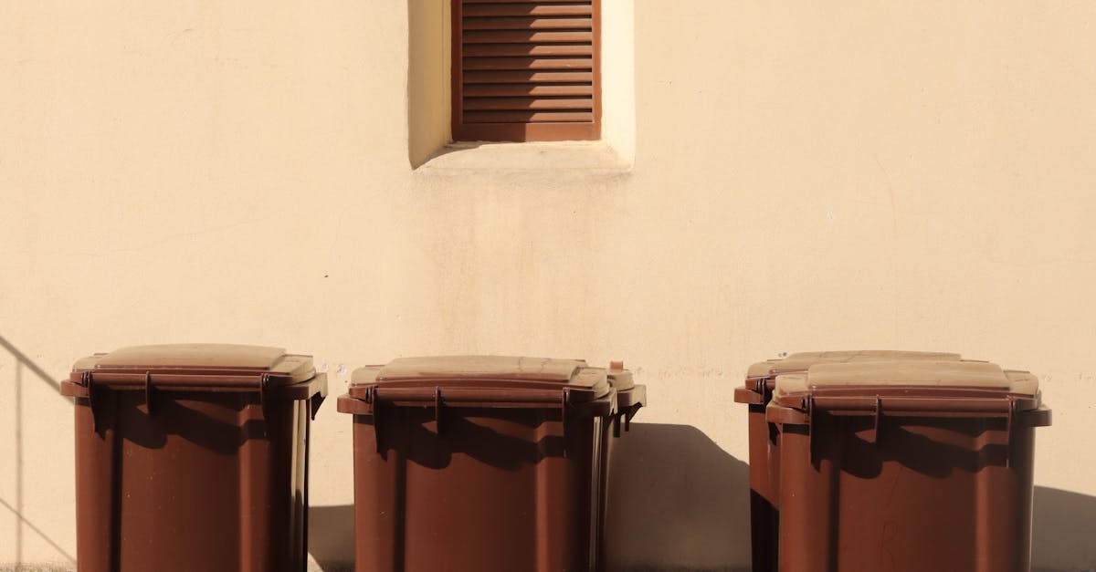 Environmental Benefits of Using Medium Skip Bins for Waste Collection