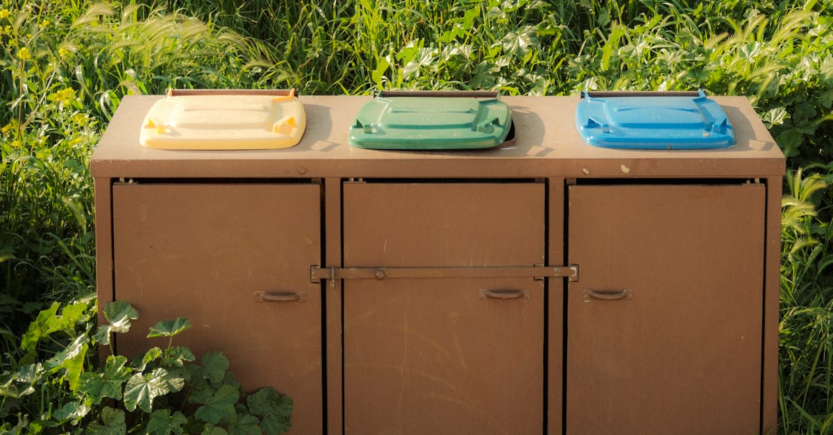 Guidelines for Developing a Comprehensive Waste Management Plan