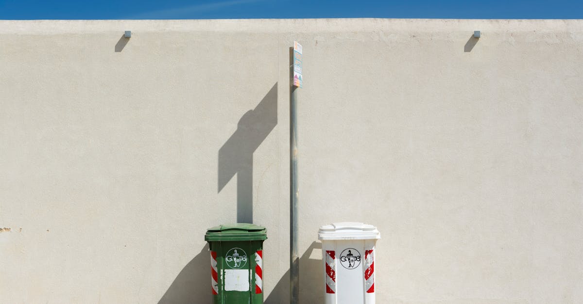 How to Ensure Efficient Waste Management with Construction Skip Bins