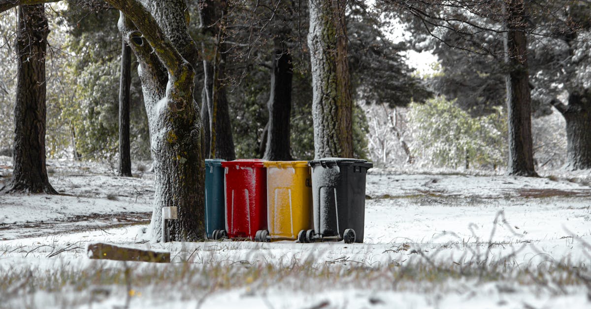 Strategies for Streamlining Office Waste Management