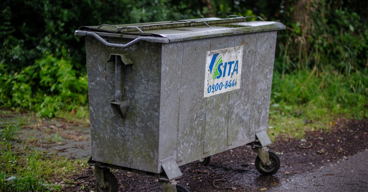 Sustainable Skip Bin Hire Options in Liverpool NSW