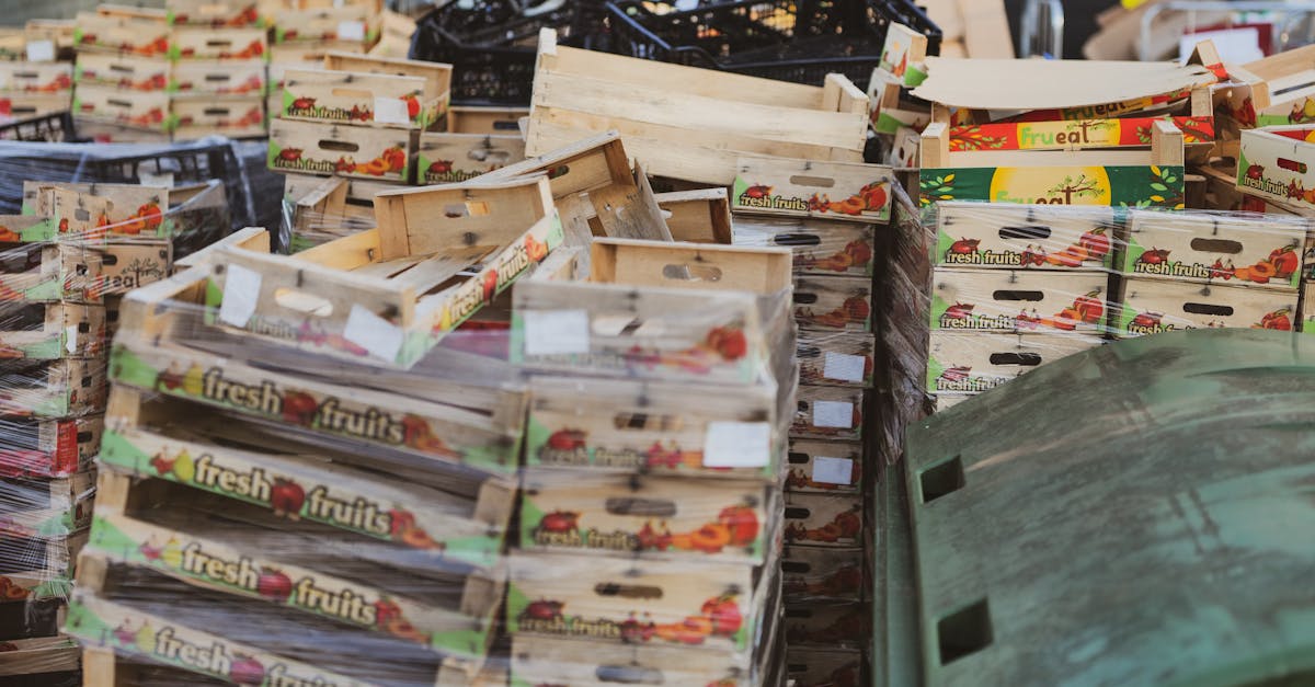 Tips for an Eco-Conscious Skip Bin Hire Experience