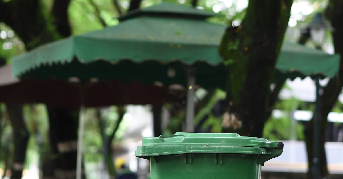 Tips for Choosing Eco-Conscious Skip Bin Hire Options