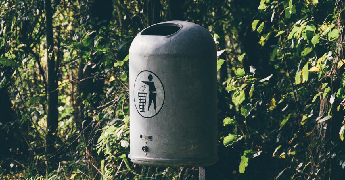 Understanding Costs Associated with Residential Skip Bin Hire