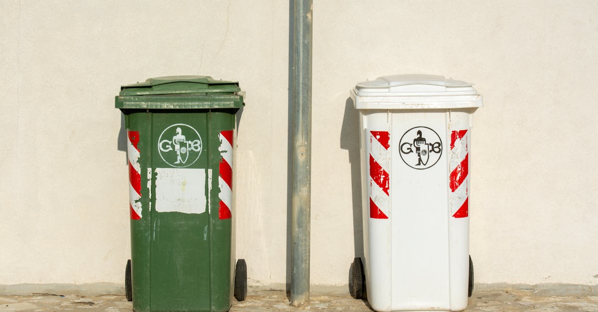 Understanding the Availability of Same Day Skip Bins in Liverpool NSW